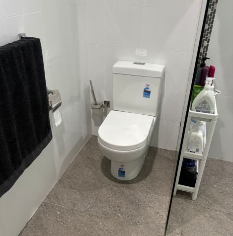 Blocked Toilet Repair 2